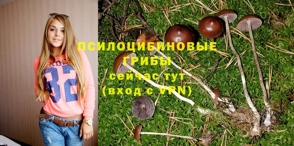apvp Арсеньев