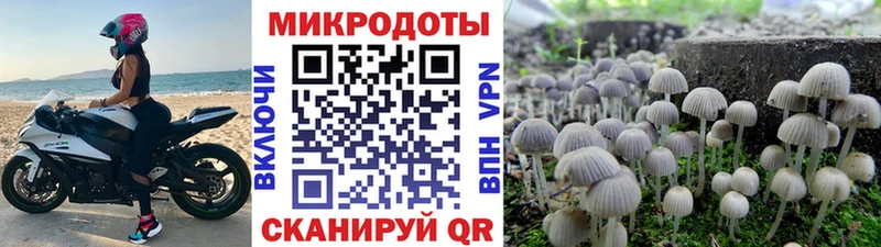 Галлюциногенные грибы Cubensis  Буйнакск 